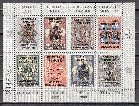 Romania, 2000 issue. 1st World War Scouts Label, Perf only. Romanian Type. ^
