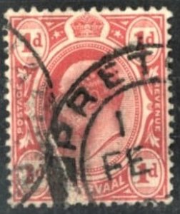 TRANSVAAL #282 - USED - 1905 - TRANS007