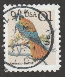 2476  American Kestral