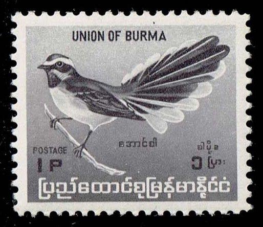 Burma #176 White-browed Fantail; MNH (0.30)