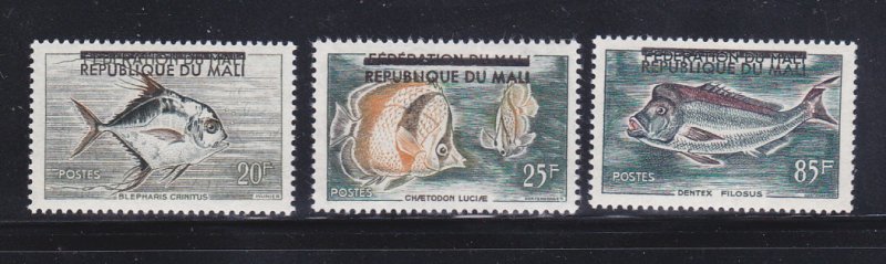 Mali 10-12 Set MH Fish