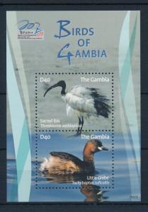 [31807] Gambia 2009 Birds Vögel Oiseaux Ucelli   MNH Sheet