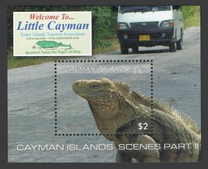 Cayman 1044 sheet,MNH. Tourism 2009. Island scenes: Iguana.