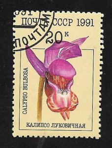 Russia - Soviet Union 1991 - CTO - Scott #5997