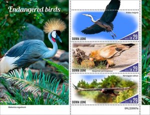 2022 10-SIERRA LEONE - ENDANGERED BIRDS       3V  complet set    MNH ** T