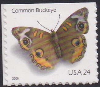 4001a Common Buckeye Butterfly MNH