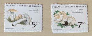 Greenland 2006 #479-80 MNH. Mushrooms