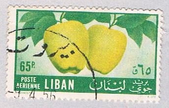 Libya  Used Apples  (BP42301)