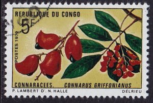 Congo - 1970 - Scott #225 - used - Plant