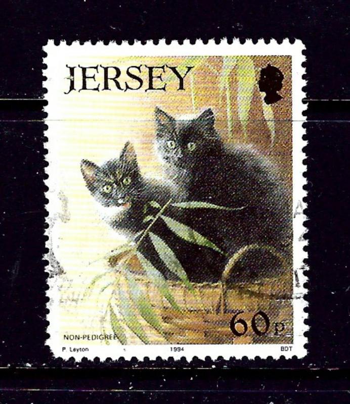 Jersey 665 Used 1994 Cats
