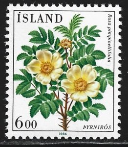 Iceland #586   MNH