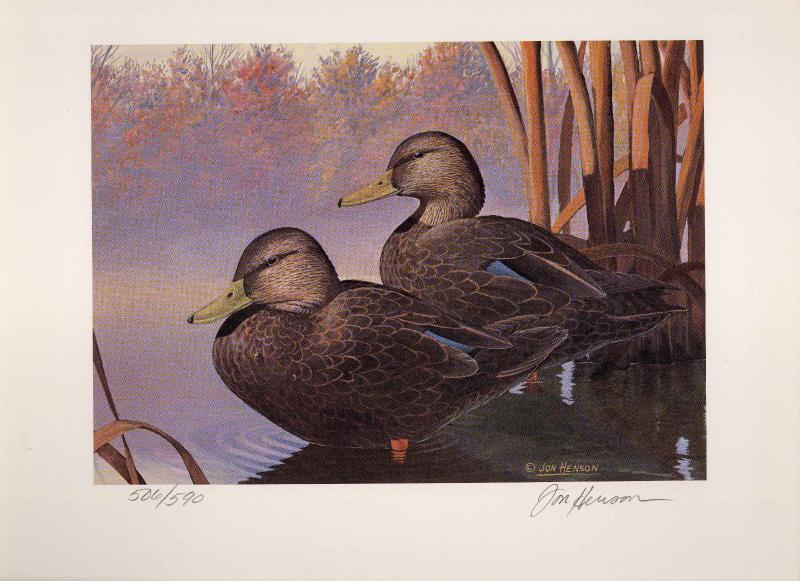 OHIO #9 1990 STATE DUCK STAMP PRINT BLACK DUCKS by Jon Henson Edition size:590