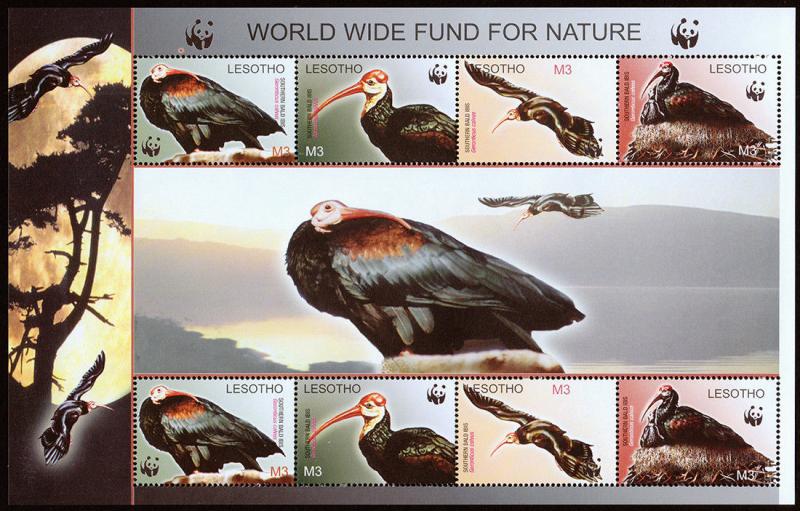 Lesotho Scott 1337 (2004) WWF Souvenir Sheet, Bald Ibis, Mint NH VF C