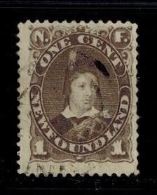 Newfoundland 42 used