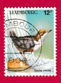 LUXEMBOURG SCOTT#765 1987 12f WHITE-THROATED DIPPER BIRD - USED