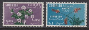 Somalia E10-1 Flowers mint