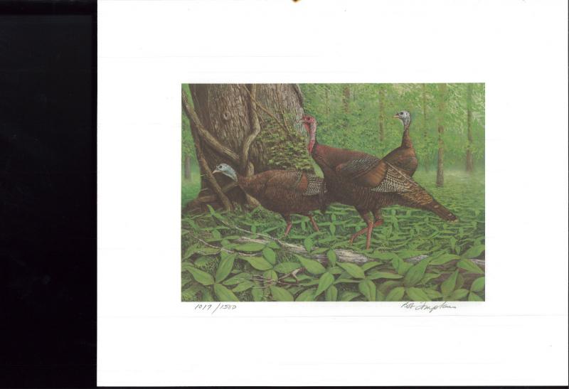 MISSISSIPPI STATE TURKEY STAMP PRINT WILDLIFE FEDERATION by Bob Thompkins