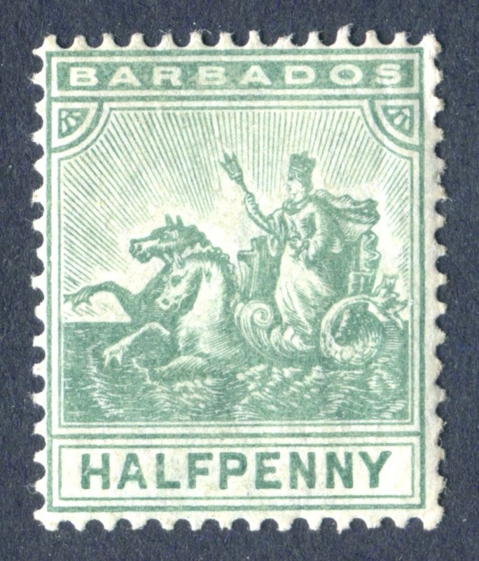 Barbados 1905. 1/2d green. MC CA. Mint. LH. SG136.