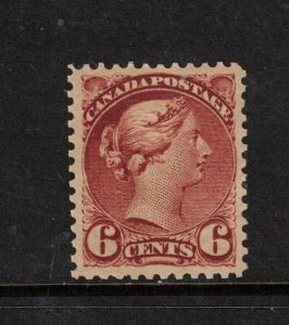 Canada #43 Extra Fine Never Hinged Gem **With Certificate**