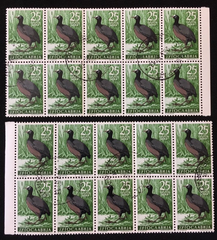 Yugoslavia 1958 Birds Set Blocks Used MNH (200 Stamps) AB2284
