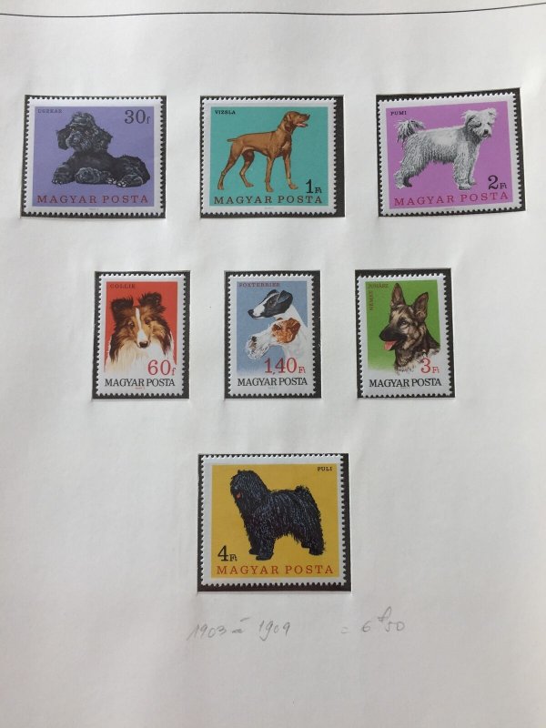 HUNGARY 1967 Sheets Art Dogs Airs MNH on 11 Pages(Aprx 70+ Items)Apr652 