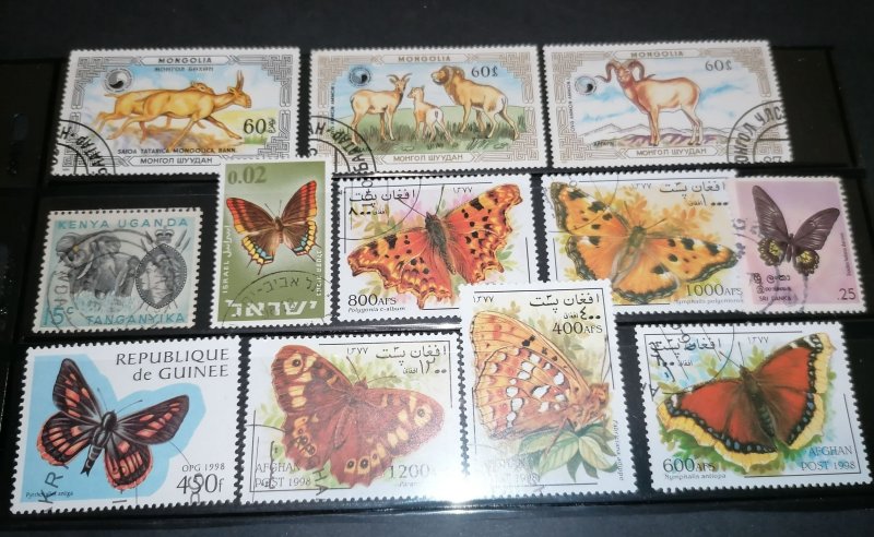 Large world lot stamps, blocks,minisheets mostly MNH see photos