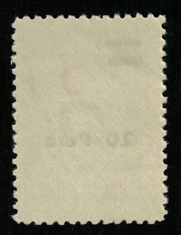 1956, Red Crescent Stamp of 1954 Surcharged, Turkey, 20/1Pa/K (RТ-460)