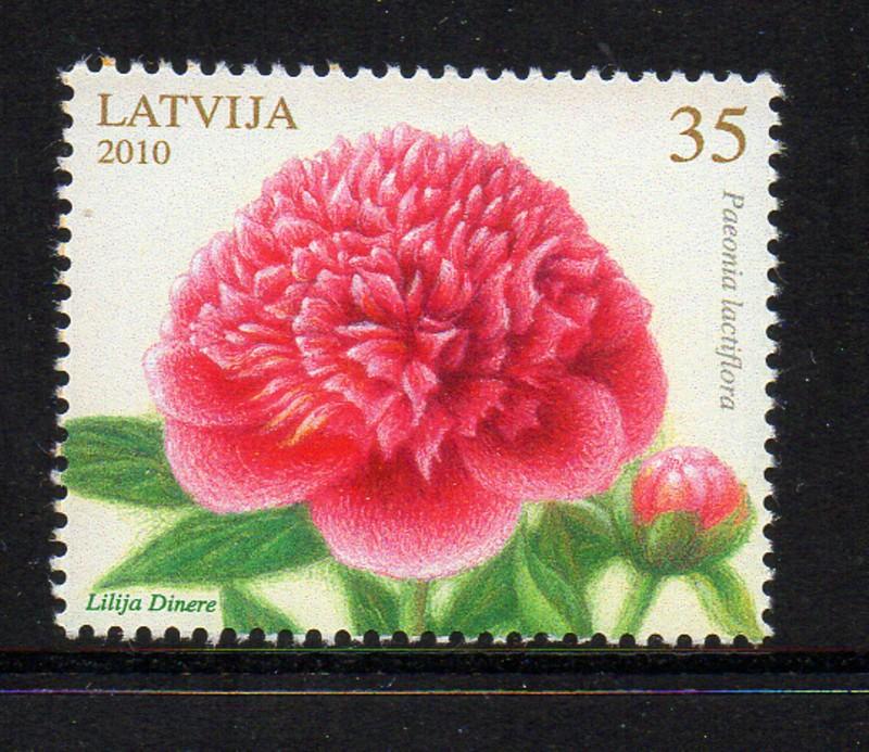 Latvia Sc 757 2010 Flowers Peonies stamp mint NH