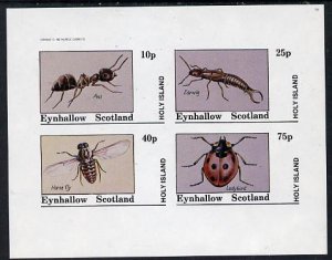 Eynhallow 1982 Insects (Ant, Earwig, Horsefly & Ladyb...