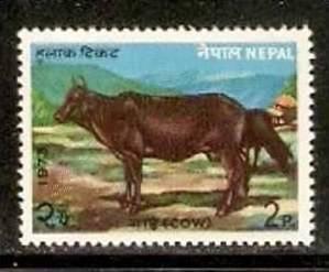 Nepal 1973 Farm Animal Cattle - Cow Sc 276 MNH # 2505A