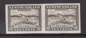 Newfoundland #193a XF/NH Imperf Pair