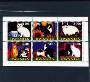 Rwanda 1999, Domestic Cats Sheet (6) Perforated mnh.