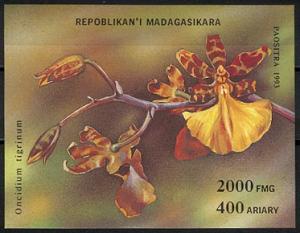 MADAGASCAR, FLOWERS / PLANTS / ORCHIDS, SOUVENIR SHEET