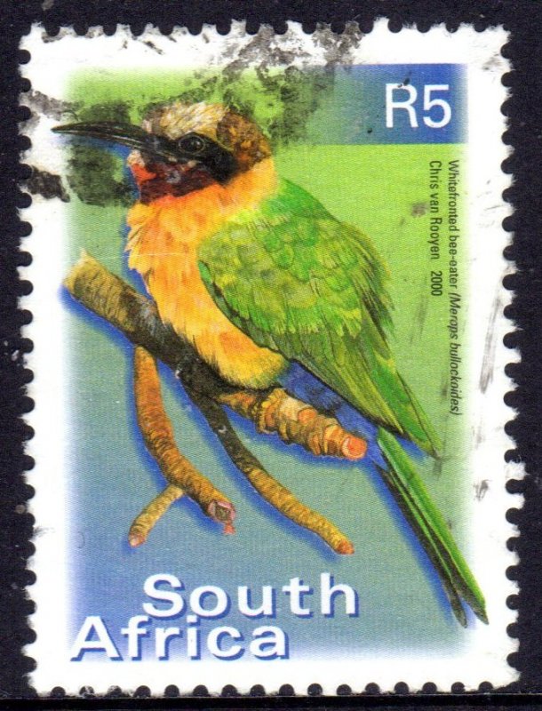 South Africa…2000 Fauna and Flora - Birds 