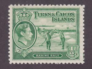 Turks and Caicos 79 Raking Salt 1938