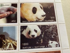Panda Bear mint never hinged stamps sheet Ref R48980