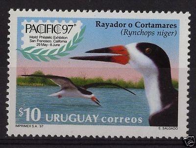 Marine life bird Rynchops PACIFIC 97  STAMP EXPO URUGUA