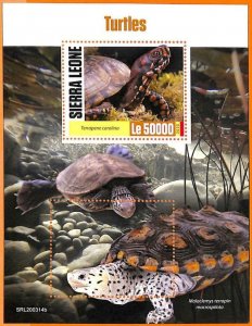 A6802 - SIERRA LEONE, Error, 2020, MISSPERF SOUVENIR SHEET: Turtles, Marine Life