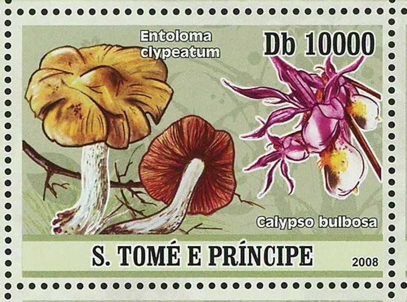 Mushrooms Stamp Orchids Entoloma Clypeatum Calypso Bulbosa S/S MNH #3402-3410