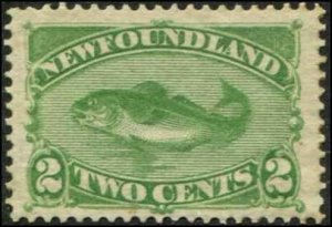 Canada - Newfoundland SC# 46 Codfish 2c yellow green toned gum SCV $75.00