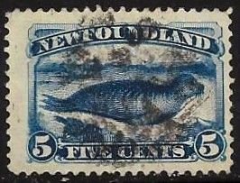 Newfoundland 54 Used
