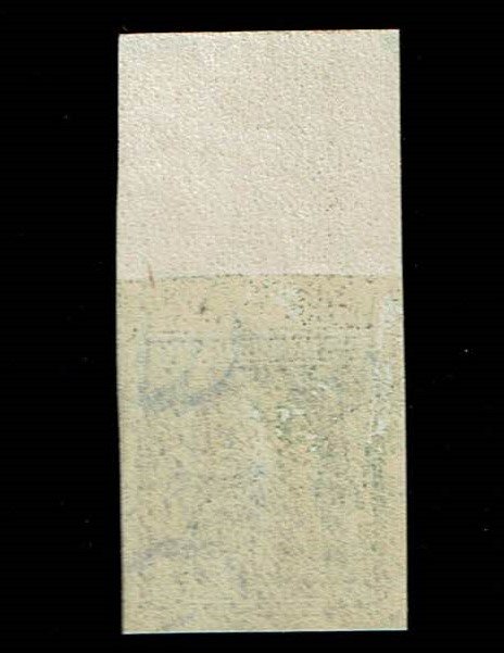 Scott #347 Superb-OG-NH.