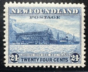 Newfoundland, Scott 210, Mint NH, VF