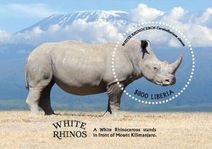 Liberia 2019 - White Rhino Animals - Souvenir stamp sheet - Scott #3310 - MNH