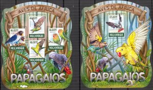 Mozambique 2015 Birds Parrots Sheet + S/S MNH