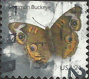 # 4001a USED COMMON BUCKEYE BUTTERFLY