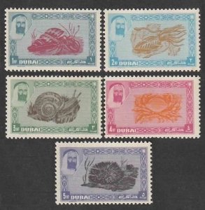  1963 Dubai 1-5 Marine fauna