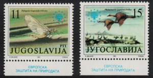 Yugoslavia Pygmy cormorants Birds Mayfly Nature Protection 2v Margins 1991