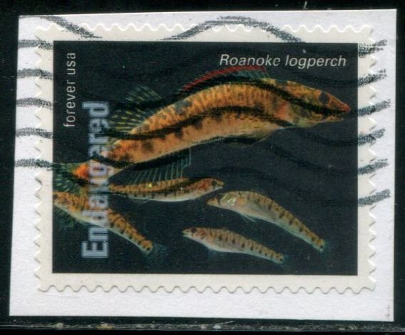 5799c US (63c) Endangered Species - Roanoke Logperch SA, used on paper