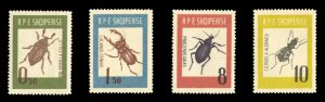 Albania #660-663 Cat$20, 1963 Beetles, set of four, never hinged